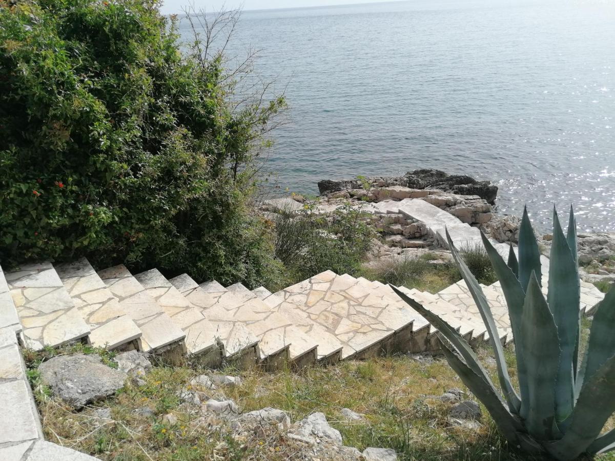 Apartman Marinkovic Dobra Voda Exterior photo